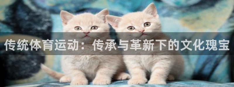 红蓝体育软件官方免费下载：传统体育运动：传承与革新下的文化瑰宝