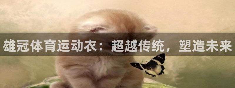 红蓝体育骗了多少人：雄冠体育运动衣：超越传统，塑造未来