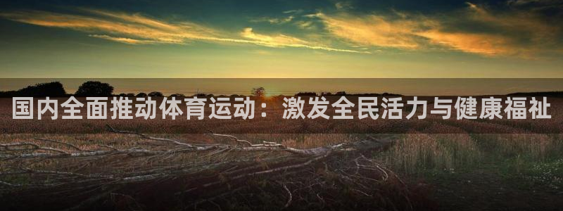 红蓝体育官网app入口：国内全面推动体育运动：激发全民活力与健康福祉