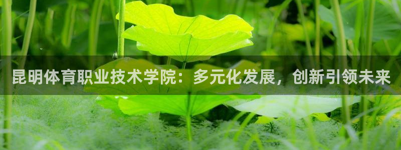 红蓝体育全站app下载安装最新版本：昆明体育职业技术学院：多元化发展，创新引领未来