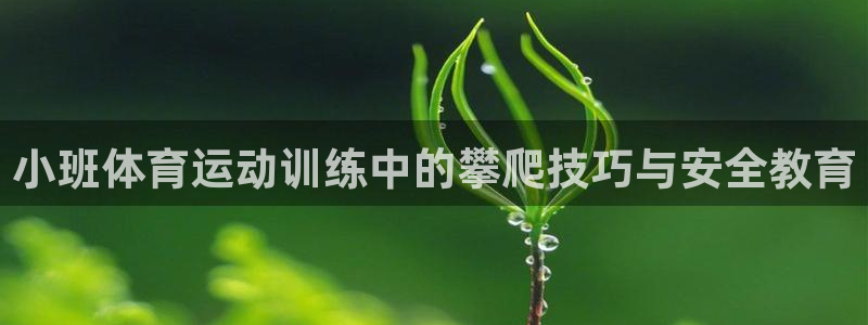 红蓝体育直播在线观看：小班体育运动训练中的攀爬技巧与安全教育