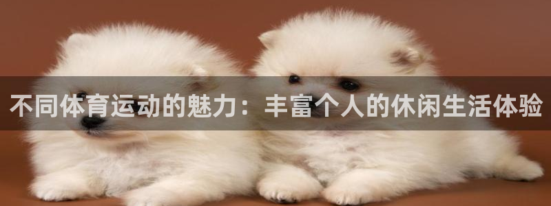 红蓝体育大全：不同体育运动的魅力：丰富个人的休闲生活体验