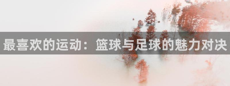 红蓝体育网址：最喜欢的运动：篮球与足球的魅力对决