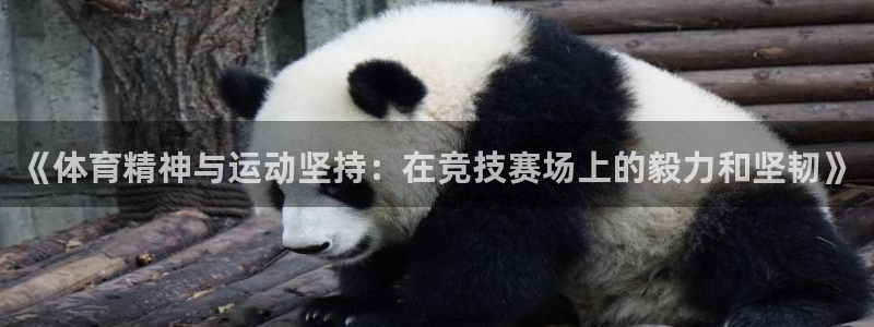 红蓝体育怎么样：《体育精神与运动坚持：在竞技赛场上的毅力和坚韧》
